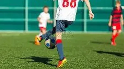 2025年全国研究生入学考试报名突破388万大关