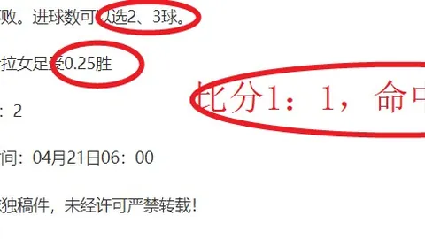 【独家】亚足联重罚国安：亚冠冲突事件致6250美元罚款，河内公安争议成焦点！